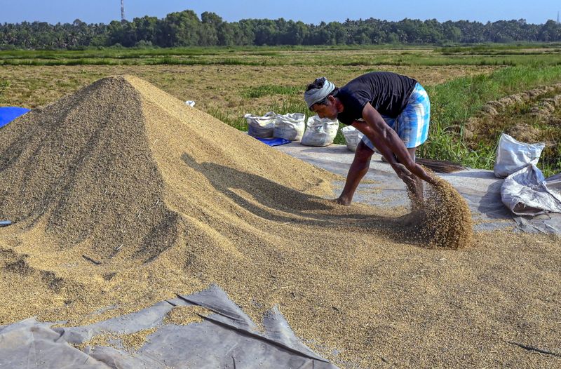 India’s Quiet Privatisation of Grain Stocks at a Time of Global Food Crisis