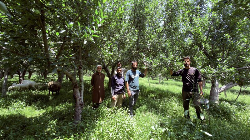 ‘We Will Die if the Government Takes Our Land Away’, Say J&K Orchard Owners Served With Eviction Notice - The Wire