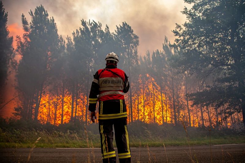 Wildfires Rage in France and Spain as Heatwaves Sear Europe - The Wire