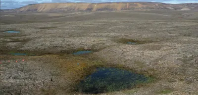 scientists amazed as canadian permafrost thaws 70 years early