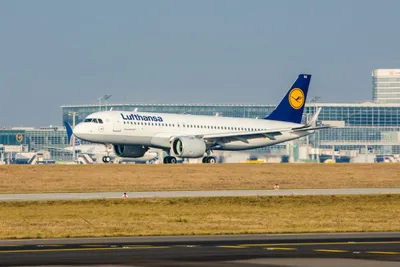 lufthansa group suspends mideast flights
