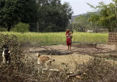 undercooked  an expensive push to save lives and protect the planet falls short