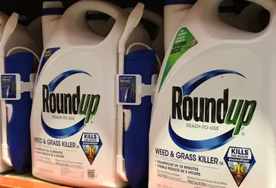 bayer asks california judge to reverse jury verdict over roundup cancer trial