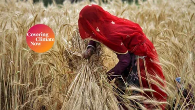  our land is no use any more   india s struggle to save its farms