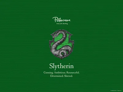 our prime minister  the potterhead