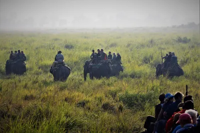 time to hold powerful forestry agencies and conservation actors to account