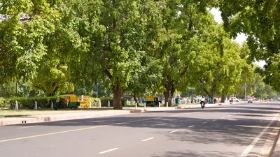 delhi colonies clear trees to make room for cars  a forest official thinks that s a bad idea 