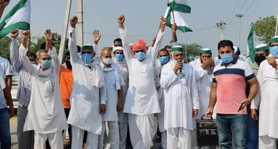 watch   flooded by gurgaon waste water  villagers in raota  delhi  have been suffering for a decade