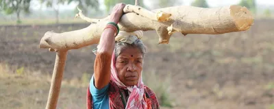 environmental issues zoom out of focus in the budget