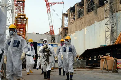 seven years since the fukushima disaster  is it case closed 