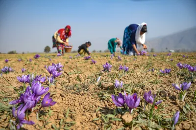 anyone from anywhere across india can now buy land in j k