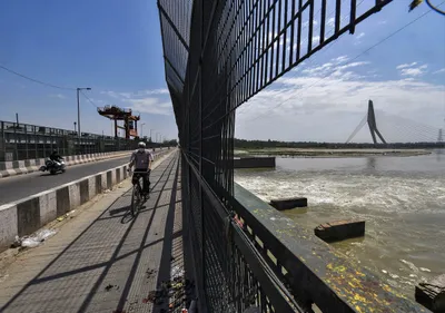 excerpt  life and culture during the covid 19 lockdown