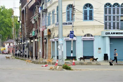 what 300 days of internet winter in kashmir tell us about erecting a digital wall