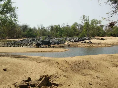 were there civilians among  naxals  killed in the gadchiroli  encounter  