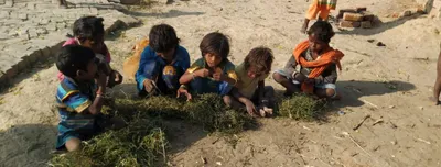 dm  public provide food after hungry kids seen eating  grass  in modi s constituency