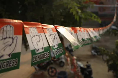 despite its flaws  congress remains the electorate s preferred alternative