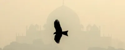 new unep report suggests 25 measures to tackle air pollution