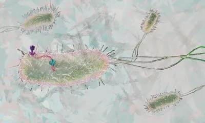 explainer  what is crispr and how does it work 