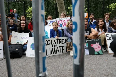 after new york  greta thunberg brings climate protests to white house