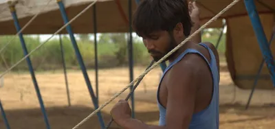 days and nights of toil on the tamasha circuit