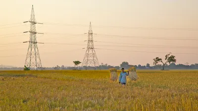 why msp at 1 5 times cost is another empty promise for farmers