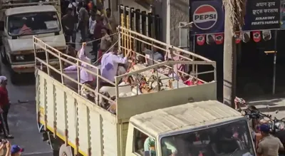 goats  a pig and the vhp  fact finding report details what went into mumbai’s eid tensions