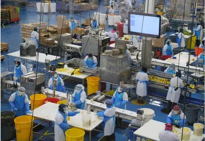 the contractualisation of workforce in india’s factories continues