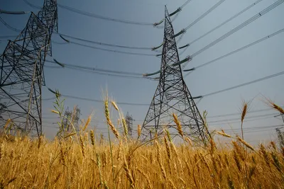 gujarat farmers continue agitation against electricity poles on agricultural land  reject govt s offer