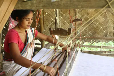 with assam’s eri silk and trees  indians fight climate change and trafficking