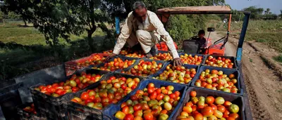 some key questions that need to be answered about the three agriculture ordinances