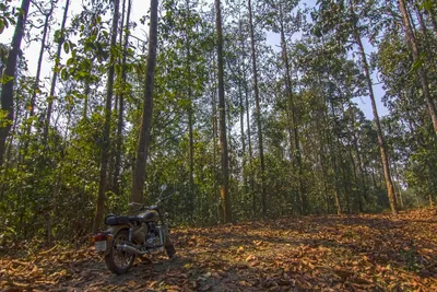 northeast india makes it amply clear that ecology is political