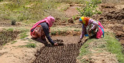 here s what we know about covid s impact on india s workers – and what we can do about it