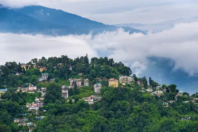 why india s northeast could see fra as a way to protect its community forests