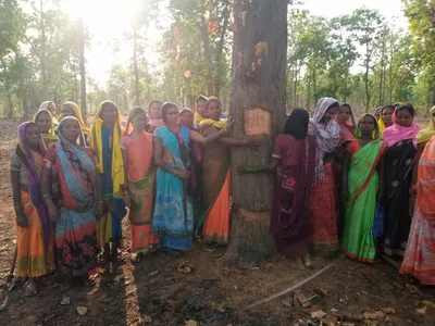 hasdeo  protests against tree felling continue  fir against activists for rioting