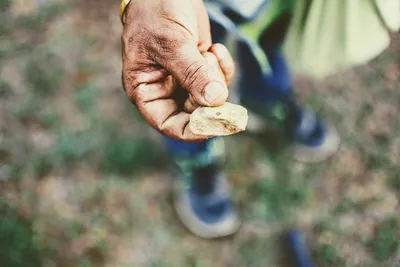 tamil nadu’s chembarambakkam lake foretells an aridity in the sands of time