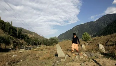 poem  i bury them under the witnessing yellow of the chinar