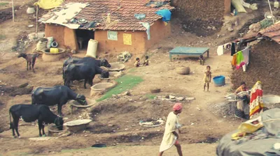 joy goswami  the cosmopolitan from the mofussil