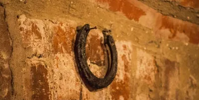 bihar caste survey  the who’s who in the data   naalband