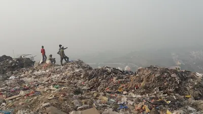 the many lives and meanings of waste