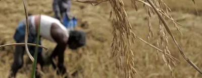 2017 was turbulent for farmers  will 2018 be better 