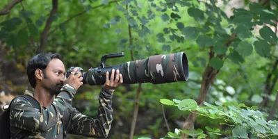 of red carpets and green tape  the travails of wildlife researchers in india