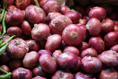 with an export duty on onions  it s clear how much the government prioritises farmers  income