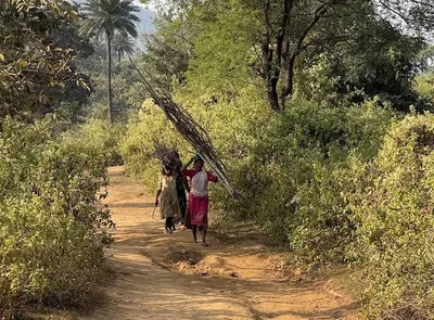 the women who still know the forest