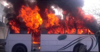 fact check  over 389 people have died in communal riots in the last four years