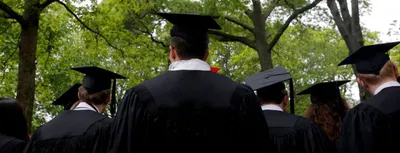 debate  let junior faculty learn the ropes at universities