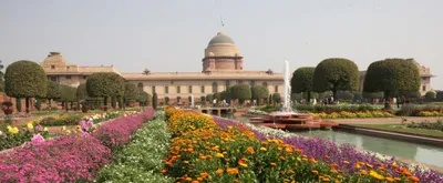 state’s discretionary power is opposed to the vision of the freedom struggle