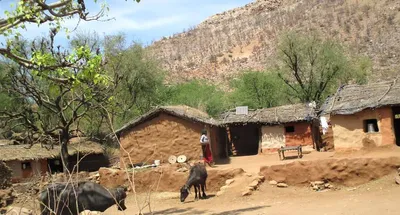 herders in sariska fear loss of livelihood as they face eviction