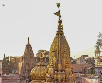 stolen or dropped by monkeys  a case of ‘missing’ gold at kashi vishwanath temple