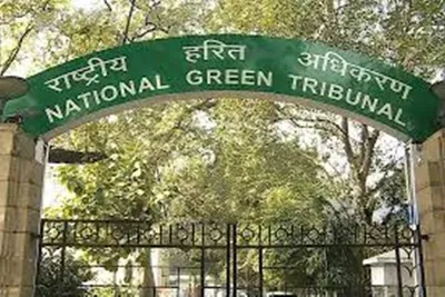 ‘deeply disappointing’  ngt’s greenlight for infra projects on great nicobar draws flak
