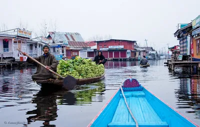 west pakistani refugees can now vote  contest elections in j k